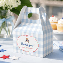 Snygg amerikansk teddybjörn Blå Gingham Pojke Förs