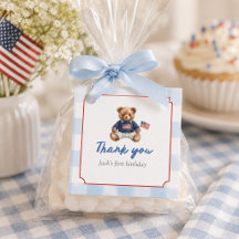Snygg amerikansk teddybjörn Blå rutig pojke Första