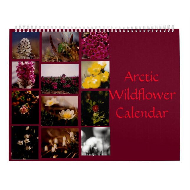 Snygg arktiska Wildblommor Färg Wall Kalender (Baksida)