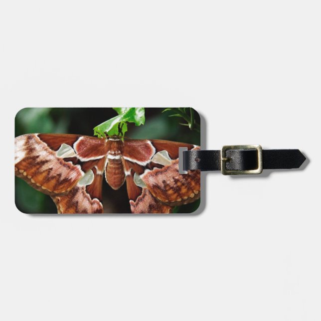 Snygg Atlas Moth Bagagebricka (Horisontell Framsida)