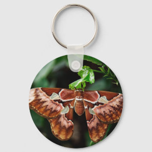 Snygg Atlas Moth Nyckelring