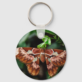 Snygg Atlas Moth Nyckelring