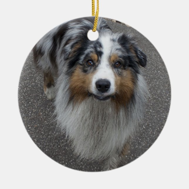 Snygg Aussie med flera färgader Julgransprydnad Keramik (Framsidan)