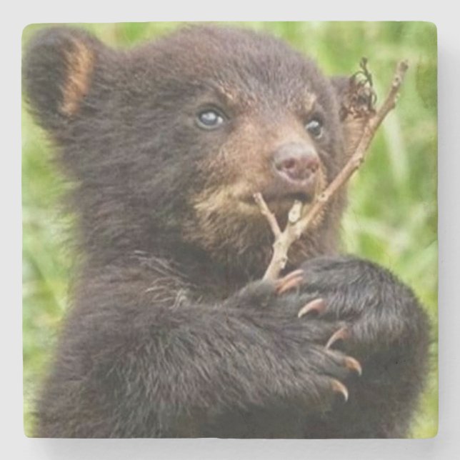 Snygg Baby Bear Stenunderlägg (Framsidan)