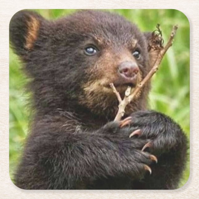 Snygg Baby Bear Underlägg Papper Kvadrat (Framsidan)