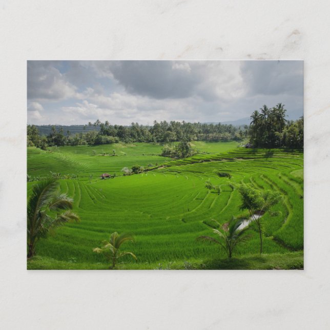 Snygg Bali Countryside Vykort (Framsida)