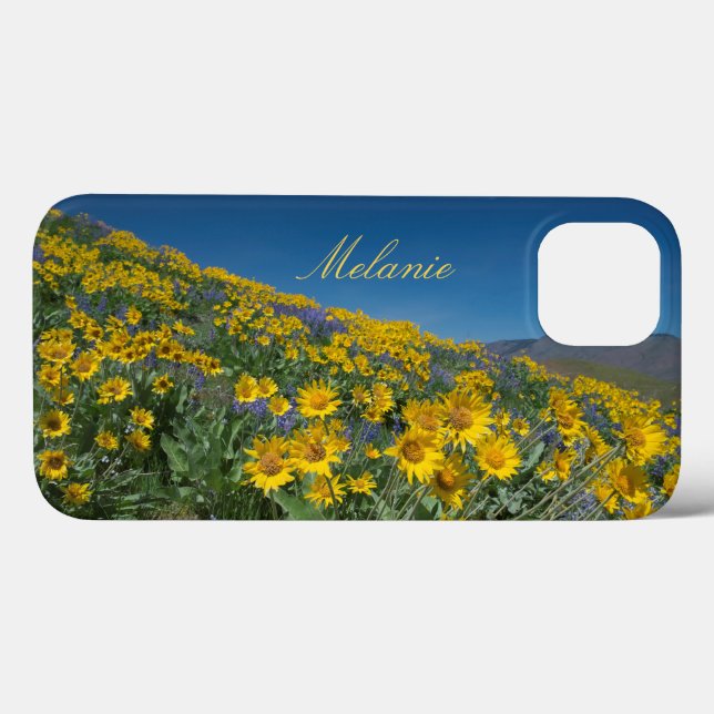 Snygg Balsamroot Bloom (Baksida (horisontell))