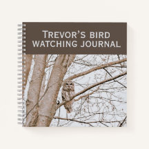 Snygg Barred Uggla Audubon Birding