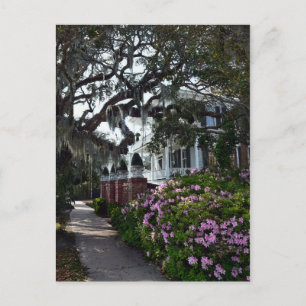 Snygg Beaufort, South Carolina Vykort