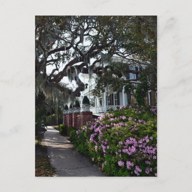 Snygg Beaufort, South Carolina Vykort (Framsida)