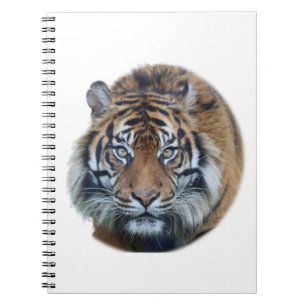 Snygg Bengal Tiger Ansikte Photo Anteckningsbok