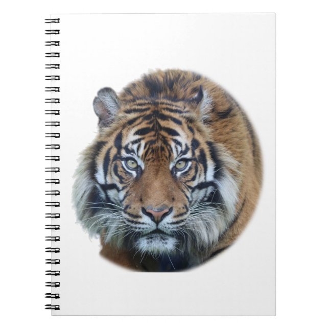 Snygg Bengal Tiger Ansikte Photo Anteckningsbok (Framsidan)