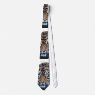 Snygg Bengal Tiger Ansikte Photo Slips
