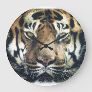 Snygg Bengal Tiger Ansikte Photo Stor Klocka