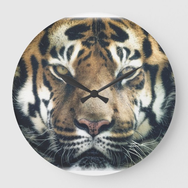 Snygg Bengal Tiger Ansikte Photo Stor Klocka (Framsida)