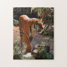 Snygg Bengal Tiger Jigszle Puzzle