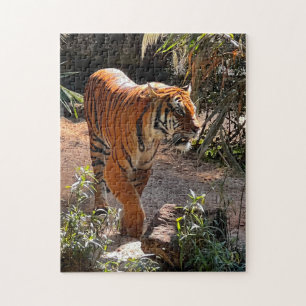 Snygg Bengal Tiger Jigszle Puzzle Pussel