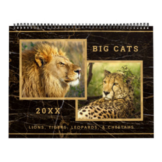Snygg Big Cats-fotokalender Kalender