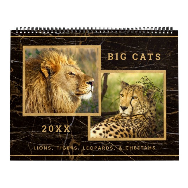 Snygg Big Cats-fotokalender Kalender (Omslag)