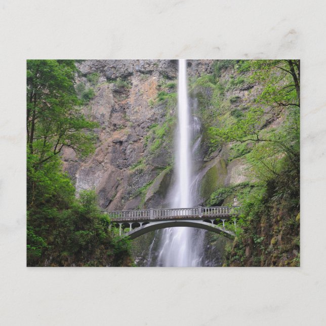 Snygg bild av Multnomah Falls, Oregon Vykort (Framsida)