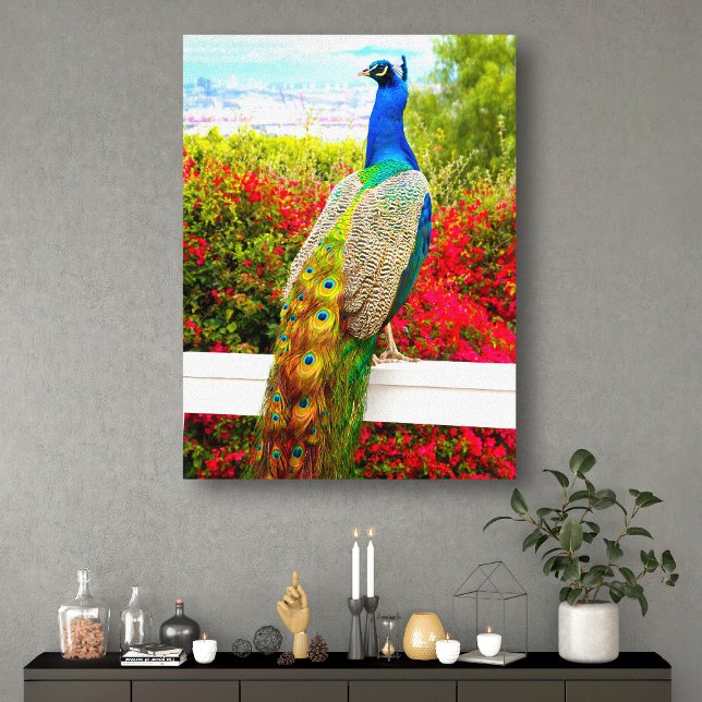 Snygg blå Grönt Peacock Photo Modern Snyggt Canvastryck (Skapare uppladdad)