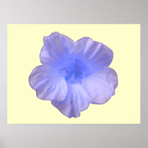 Snygg blå Nasturtium-utskrift Poster