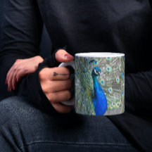 Snygg blå Peacock Plumage Photo
