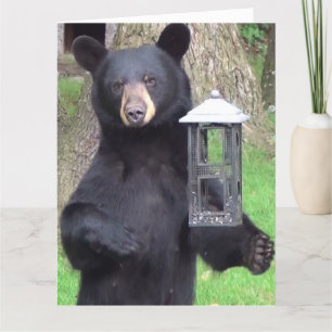 Snygg Black Bear Enjoying Snack Kort