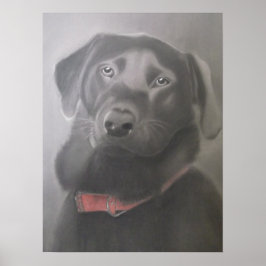 Snygg Black Labrador Poster