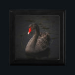 Snygg Black Svan med en ljusröd fläck Minnesask<br><div class="desc">En elegant moody atmosfär med en aning klass. Ett fantastiskt vackert svart svan flytande på en flod. Det mjuka flödade kant och de intensiva mörkarna av denna fotokontrast i skarp kontrast med svanar levande röda näbba,  skapar detta som en slående,  sublimerad och övergående naturbild.</div>