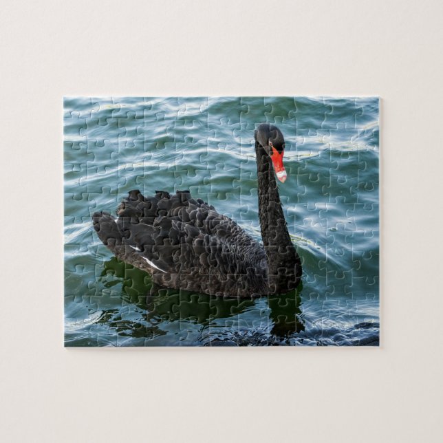 Snygg Black Svan Pussel (Horisontell)