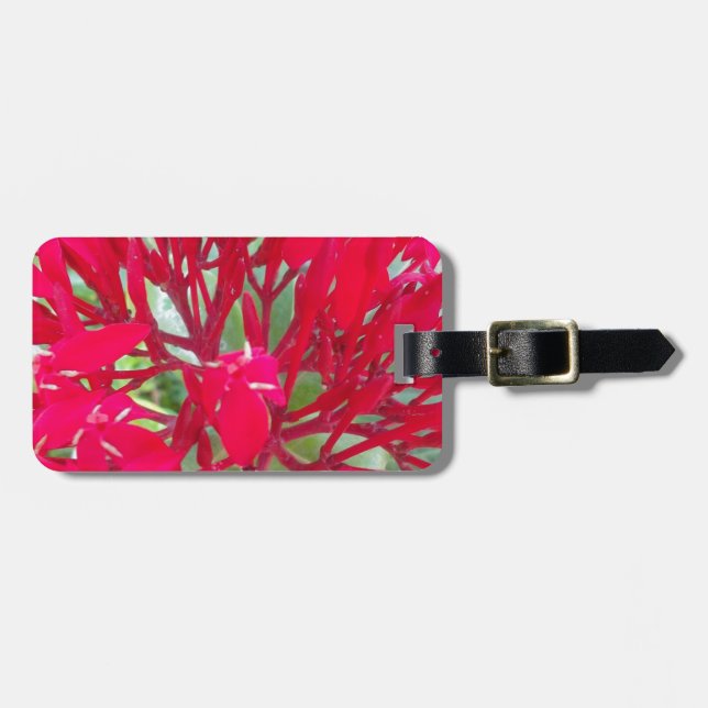 Snygg blodblomma Mjölkweed Art Print/Graphic Bagagebricka (Horisontell Framsida)