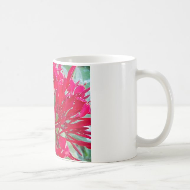 Snygg blodblomma Mjölkweed Art Print/Graphic Kaffemugg (Höger)