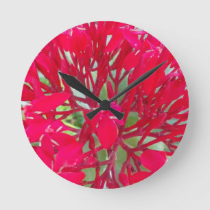 Snygg blodblomma Mjölkweed Art Print/Graphic Rund Klocka
