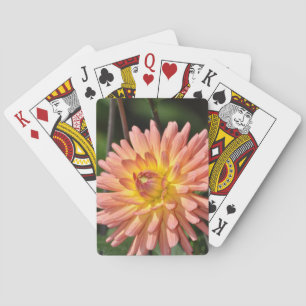 Snygg blommigt av rosa dahlia spel kort