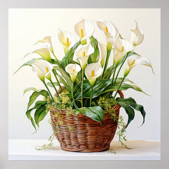 Snygg Blooming Calla Lily Flowers Poster (Framsidan)