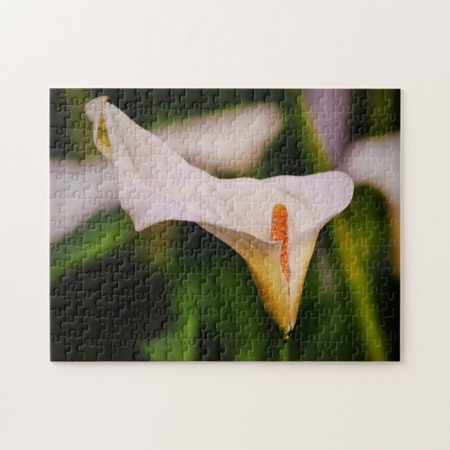 Snygg Blooming Calla Lily Garden Puzzle Pussel (Horisontell)