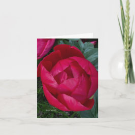 Snygg Blooming Red Peony Anteckningskort