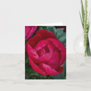 Snygg Blooming Red Peony Anteckningskort