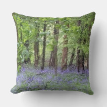 Snygg Bluebell Wood