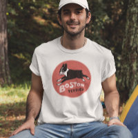 Snygg Boston Terrier i vintage-stil Söt hund