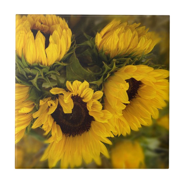 Snygg Bouquet av Guld solblommor Kakelplatta (Framsidan)