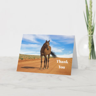 Snygg Brown Horse Road Photo Tack Kort