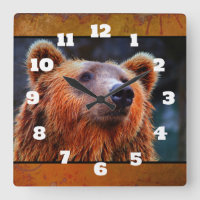 Snygg brun Bear Porträtt Wildlife Photo
