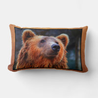 Snygg brun Bear Porträtt Wildlife Photo