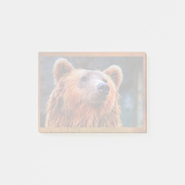 Snygg brun Bear Porträtt Wildlife Photo Post-it Block (Framsida)