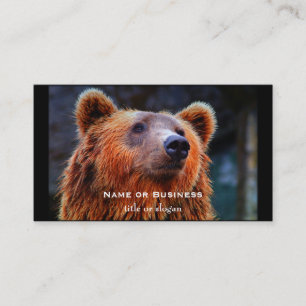 Snygg brun Bear Porträtt Wildlife Photo Visitkort