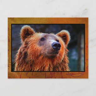 Snygg brun Bear Porträtt Wildlife Photo Vykort