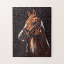 Snygg brun Paint Horse Porträtt Photo