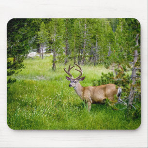 Snygg Buck i Meadow Mousepad Musmatta